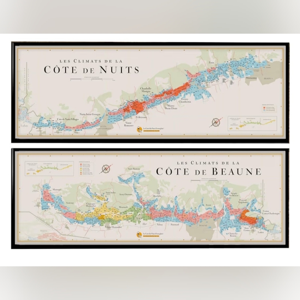 NIB. Maps Of Climats De Bourgogne - France Wine Region Wall Art - Without Frame - Picture 2 of 9